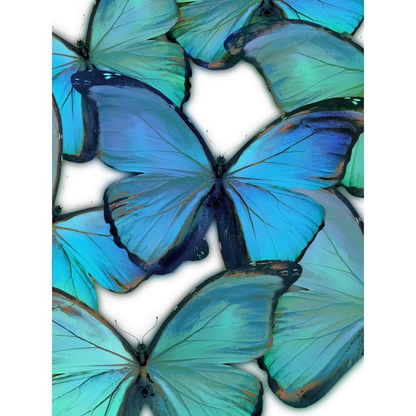 Teal & Rust Butterfly Embellished Fine Art Print in Vintage Frame