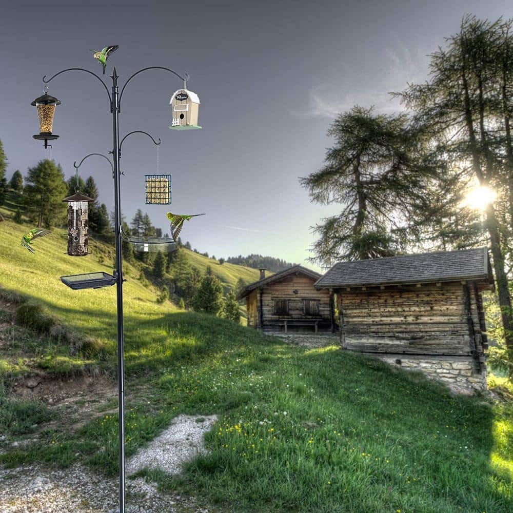 Ashman 92" Black Metal Bird Feeding Station with Multiple Hooks