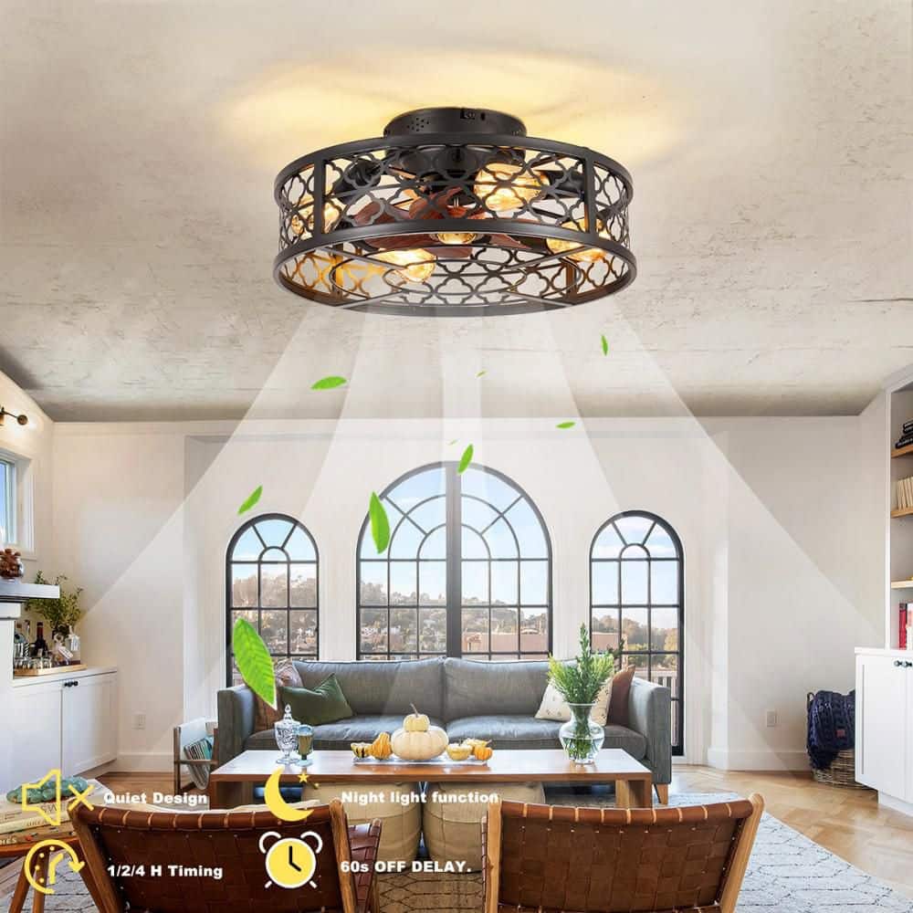 20 in. Black Low Profile Flush Mount Caged Ceiling Fan w/ Remote Control Reversible DC Motor 6 Speed Timer E26 for Home price history on PriceWatchPro