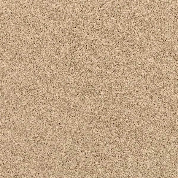 Home Decorators Collection Tailored Trends II Classic Beige 15 ft. 47 oz. Polyester Textured Installed Carpet