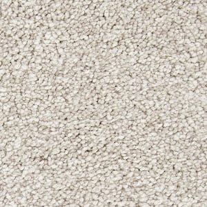 Hainsridge - Sand Dunes - Brown 68 oz. Triexta Texture Installed Carpet