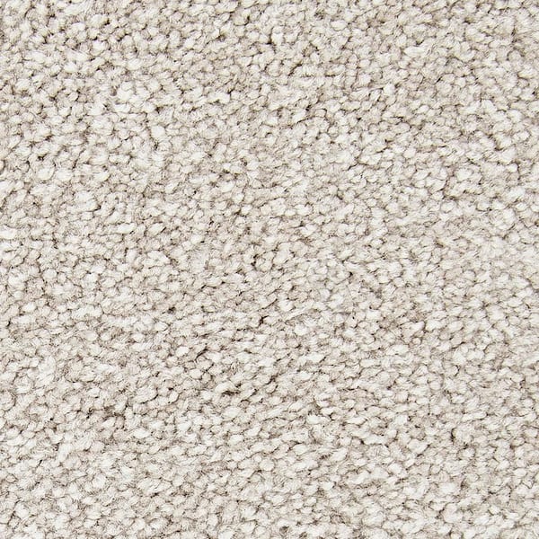 Lifeproof with Petproof Technology Hainsridge - Sand Dunes - Brown 68 oz. Triexta Texture Installed Carpet
