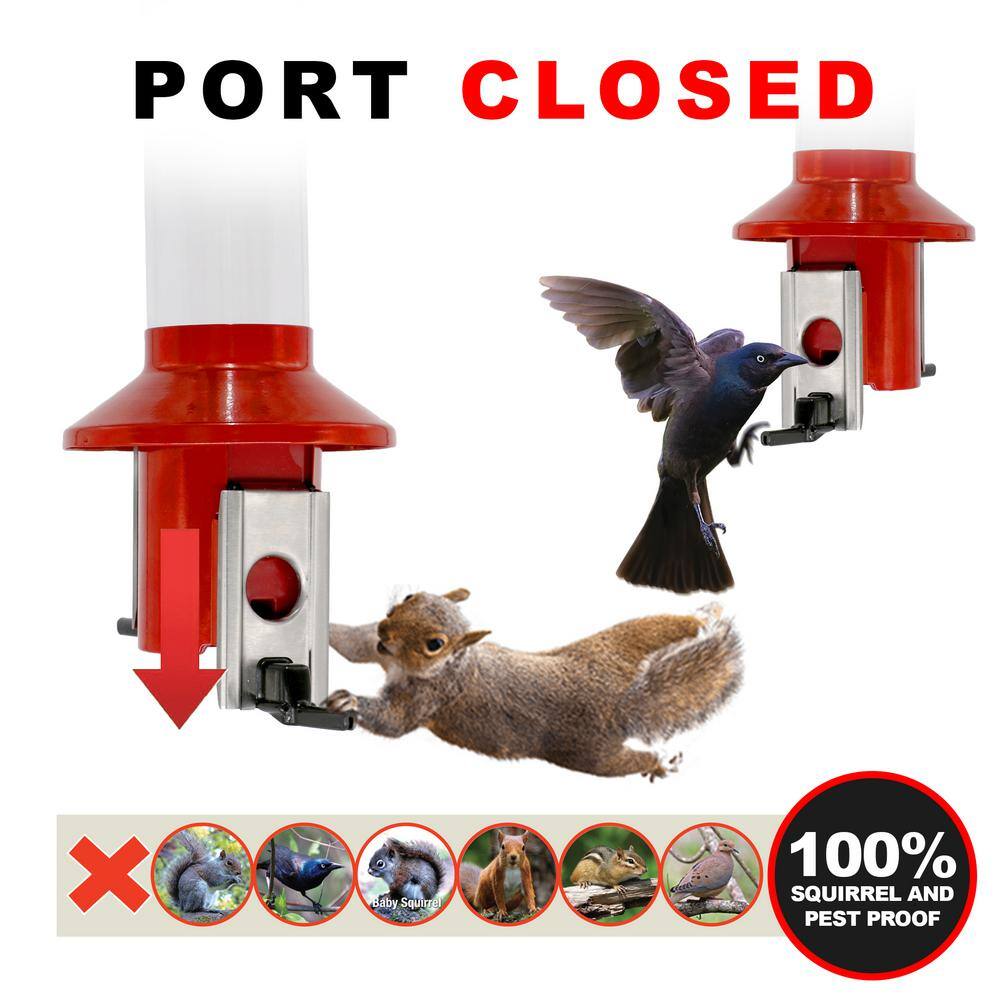 Red Metal and Plastic Squirrel Resistant Hanging Tube Bird Feeder