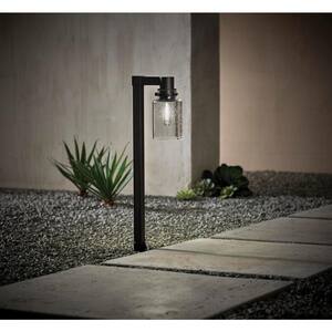 Low Voltage 50 Lumens Black Integrated LED Path Light with Seeded Glass and Vintage Style Bulb; Weather/Rust Resistant