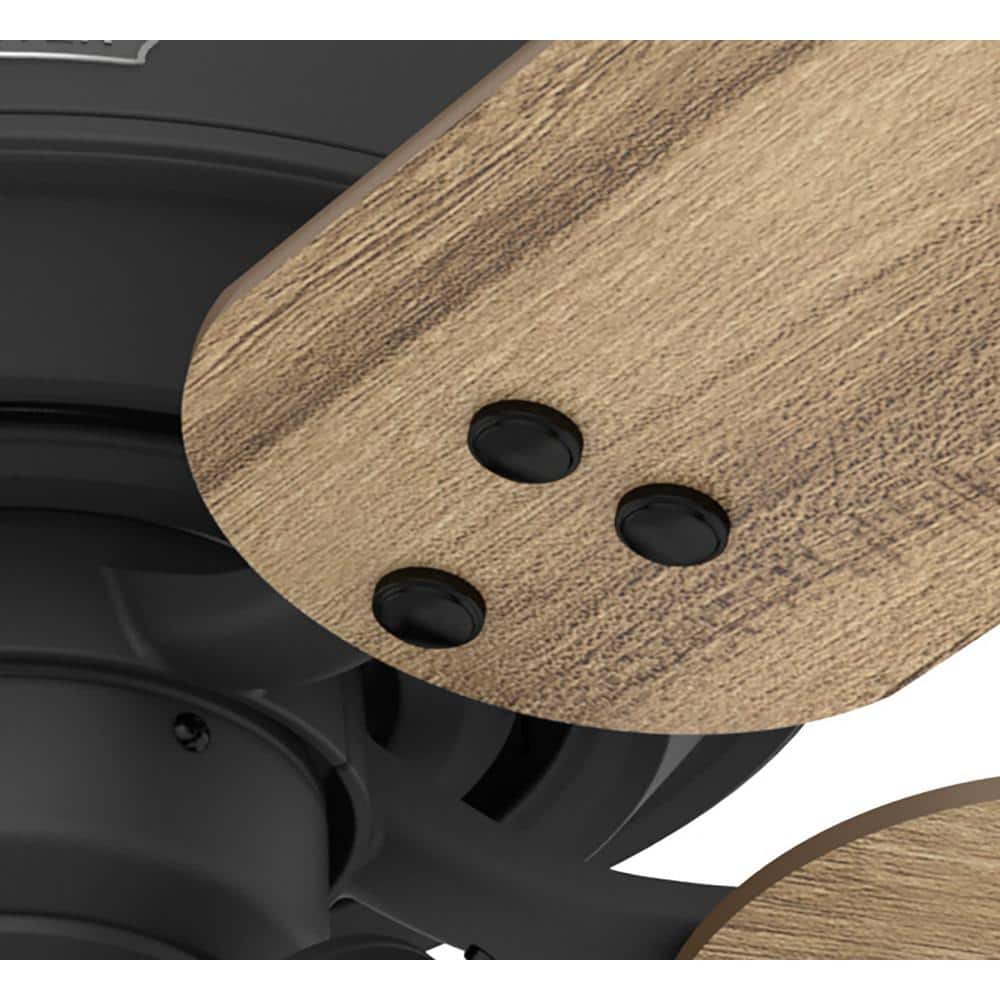 Matte Black and Golden Maple 52" Ceiling Fan with LED Light