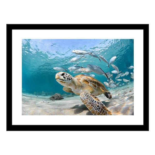VENICE BEACH Collections TURTLE BEAUTY Framed Print by Unknown 1 Piece Framed Graphic Print Abstract Poster Art Print 18 in. x 14 in.