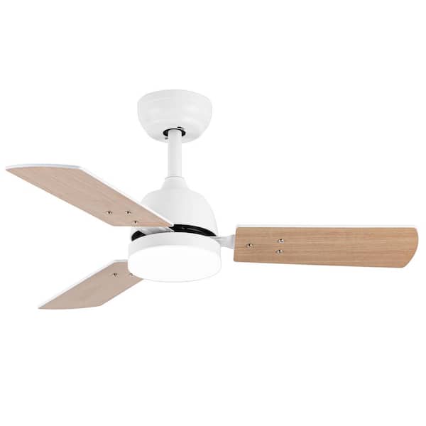 Lamober Rollo 36 in. Indoor White Small Ceiling Fans with Light, Integrated LED 3-Reversible Blades and Remote Control Included