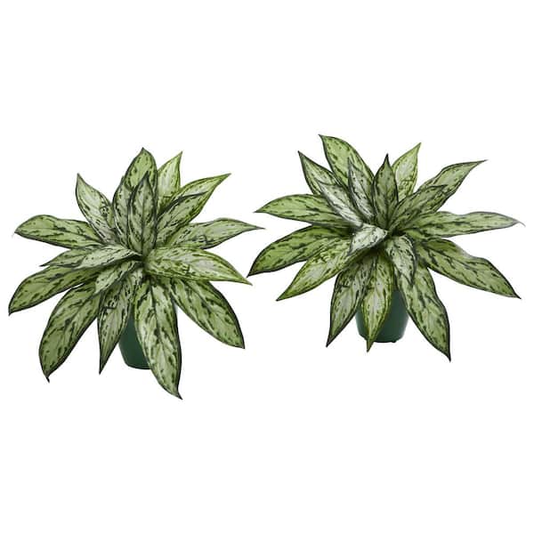 Nearly Natural Indoor Silver Queen Artificial Plant in Green Planter (Set of 2)