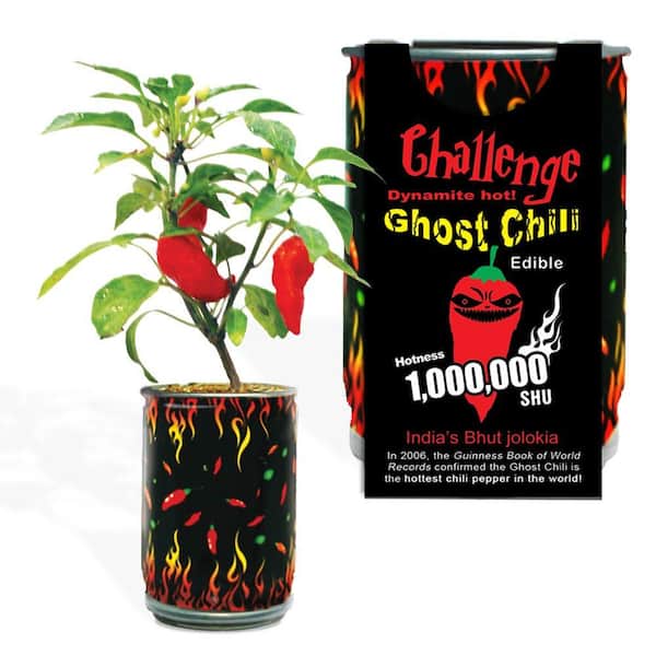 Unbranded Ghost Chili