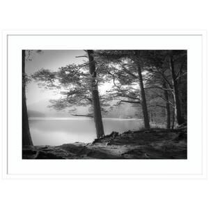 "Scottish Lake" by Dorit Fuhg 1-Piece Wood Framed Black and White Nature Photography Wall Art 24 in. x 33 in.