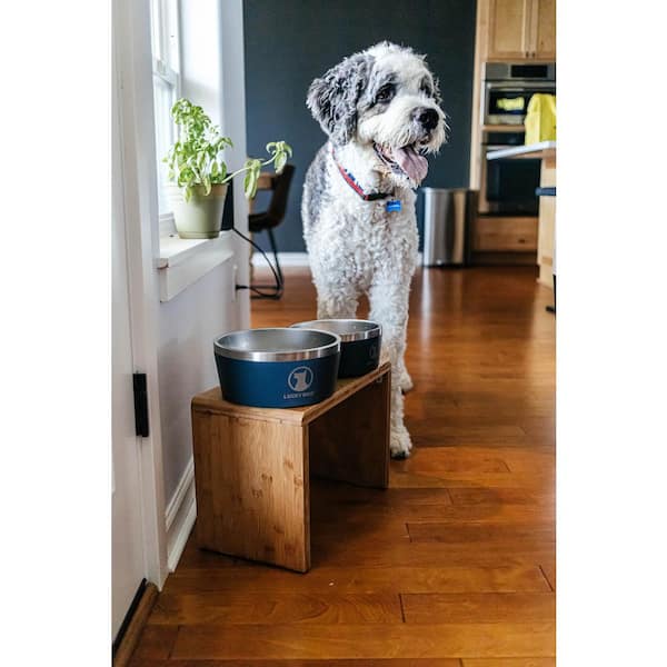 Elevated Dog Bowls - Decorative 6.5-Inch-Tall Stand for Dogs and Cats - 2 Stainless-Steel Food and Water Bowls Hold 40oz Each by Petmaker (Black)