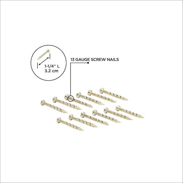 1-1/4" SATIN BRASS FLOOR METAL SCREW NAILS (12CT)