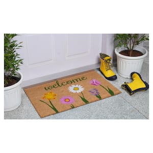 Carmine Indoor, Outdoor Door Mat 17 in. x 29 in.