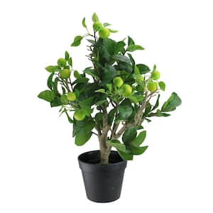 23 in. Artificial Potted Bonsai-Style Decorative Green Apple Tree