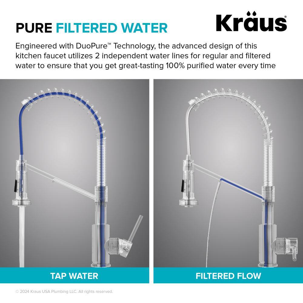 Matte Black 2-in-1 Pull-Down Kitchen Faucet with Water Filter