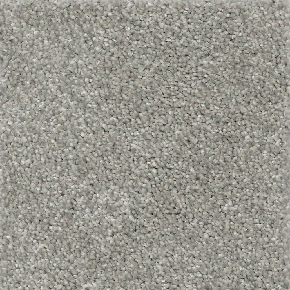 TrafficMaster 8 in. x 8 in. Texture Carpet Sample Nimble Creek Color