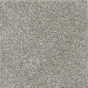 8 in. x 8 in. Texture Carpet Sample - Nimble Creek -Color Pebble