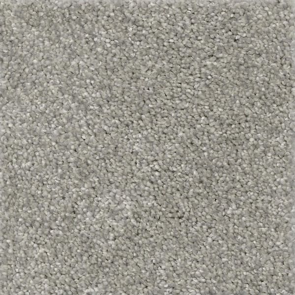 TrafficMaster Nimble Creek - Pebble - Gray 32 oz. SD Polyester Texture Installed Carpet