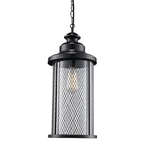 Stewart 1-Light Black Hanging Outdoor Pendant Light Fixture with Mesh Frame and Clear Glass