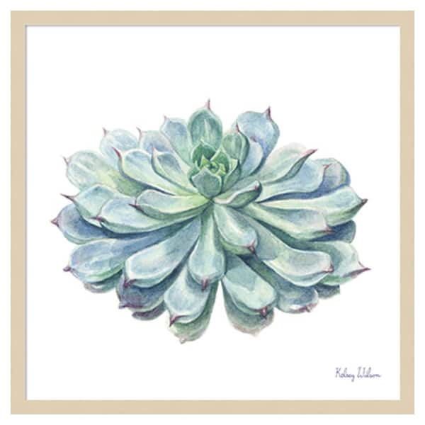 Amanti Art Single Succulents I by Kelsey Wilson 25 in. W x 25 in. H. Wood Framed Wall Art Print Framed in Brown