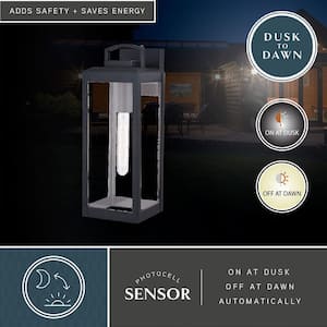 Kinzie 1 Light Dusk to Dawn Black Outdoor Wall Lantern Clear Glass