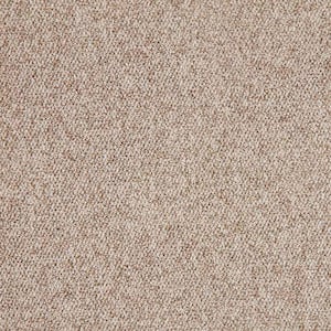 Hanville  - Southwest - Brown 27 oz. SD Polyester Loop Installed Carpet