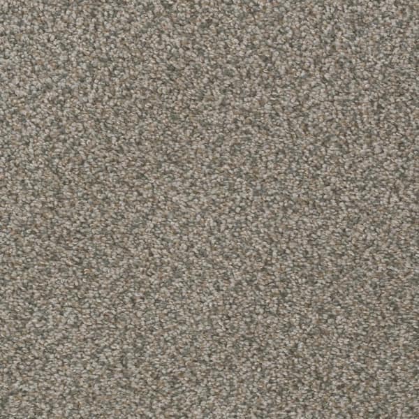 TrafficMaster Prancer - Woodland - Beige 12 ft. Wide x Cut to Length 24 oz. SD Polyester Texture Carpet