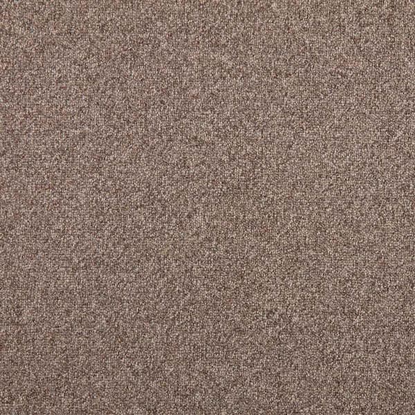TrafficMaster Bradworth  - Clock Tower - Brown 31 oz. Polyester Loop Installed Carpet