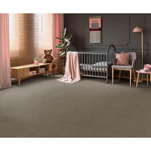 Wheatfield - Parchment - Beige 34 oz. SD Polyester Pattern Installed Carpet