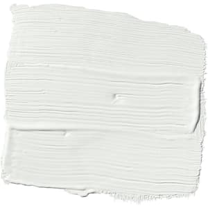 Pacific Pearl PPG1011-1 Paint