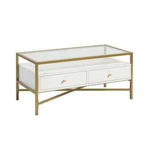 Harper 40 in. White Medium Rectangle Glass Coffee Table with 2-Drawers