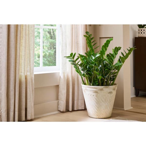 Paisley Large Ivory Resin Lightweight Round Planter with Optional Drainage Holes (15 in. L x 15 in. W x 13 in. H)