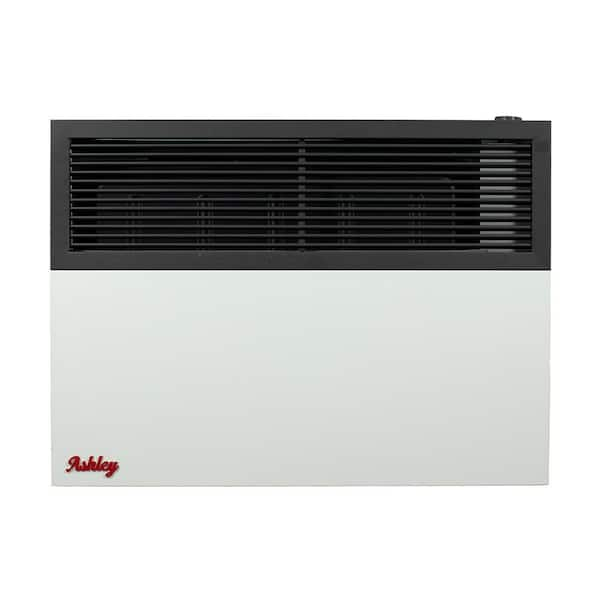 Ashley Direct Vent Wall Heater Dual Fuel, 17K BTU