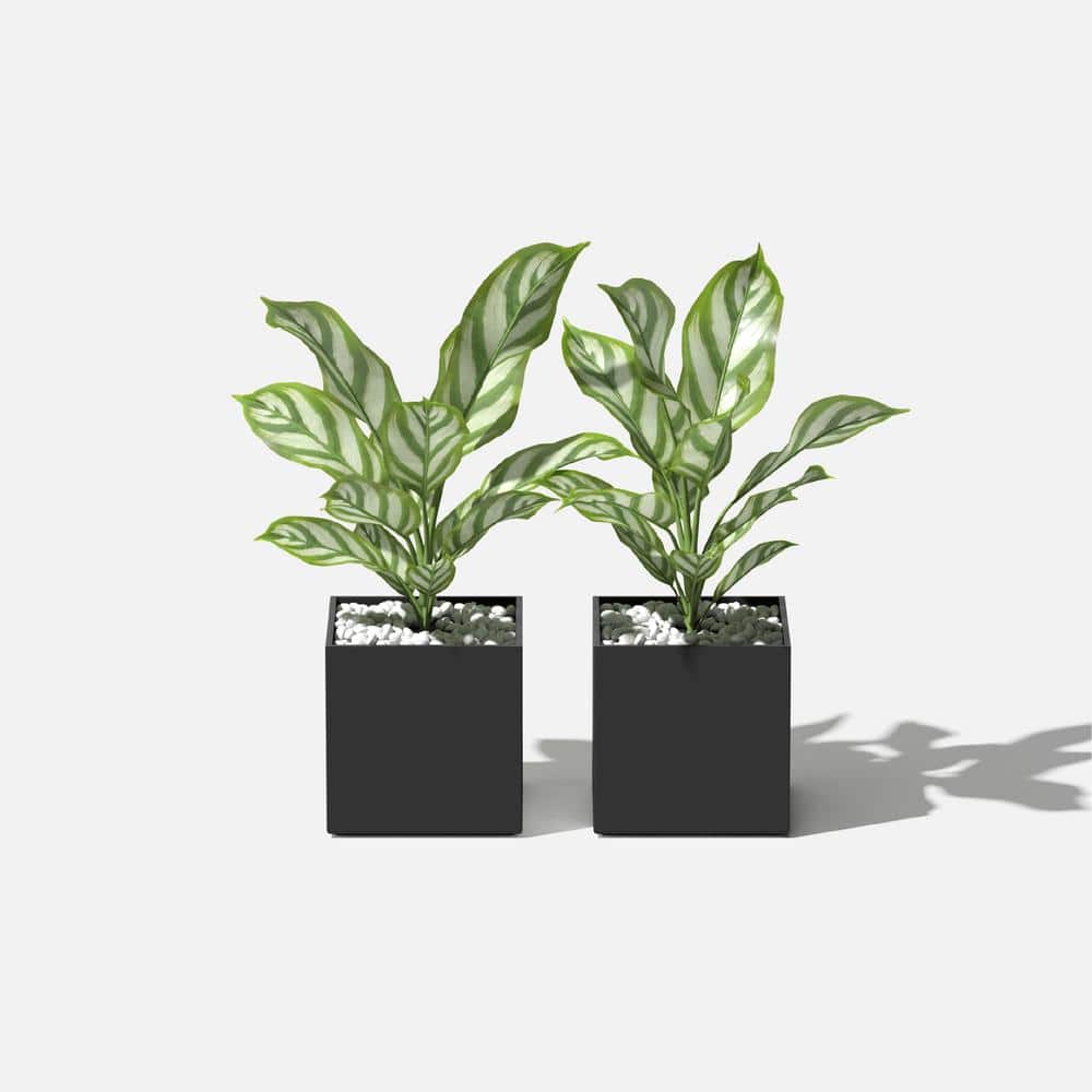 Veradek 5" Black Plastic-Stone Cube Planter Set