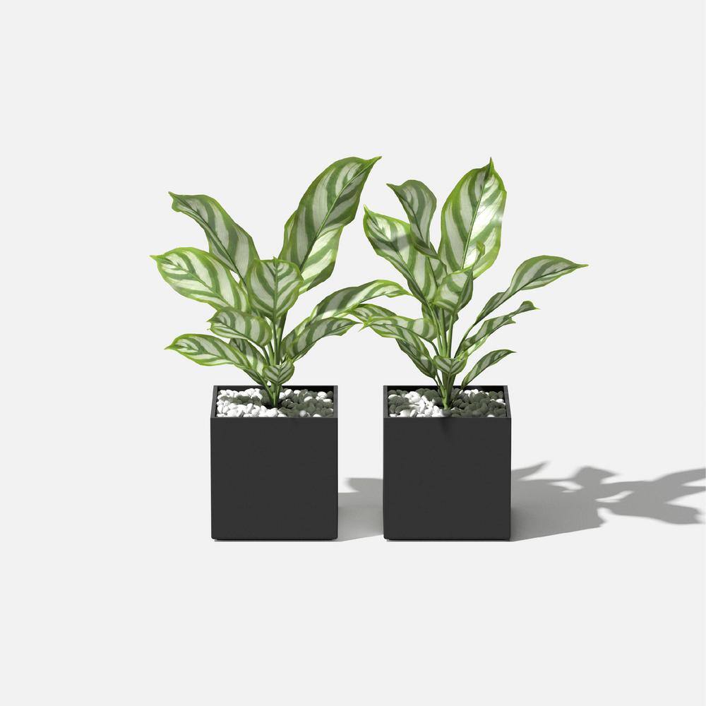 Veradek 5" Black Plastic-Stone Cube Planter Set