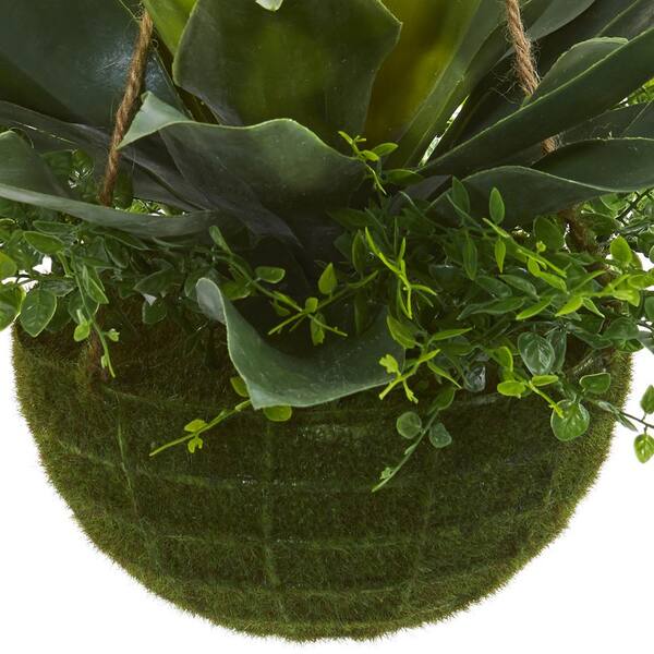 Nearly Natural Indoor Outdoor Agave And Maiden Hair Artificial Plant In Hanging Basket 4285 The Home Depot