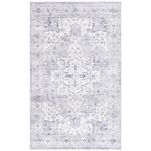 Arizona 2 ft. x 4 ft. Light Gray/Beige Machine Washable Distressed Border Ornate Area Rug