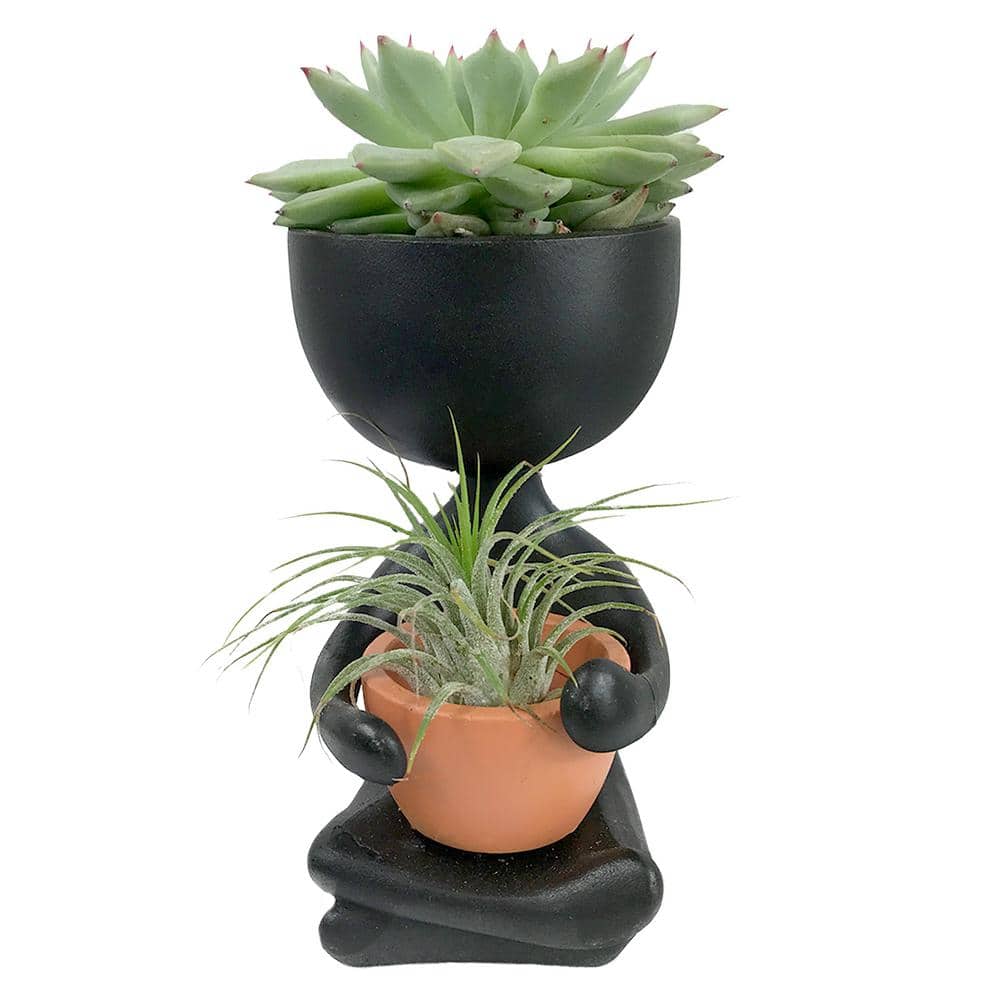 Harmony 7 Planters Indoor Small Succulent Planters Planter With