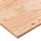 23/32 in. x 2 ft. x 2 ft. Sanded Plywood