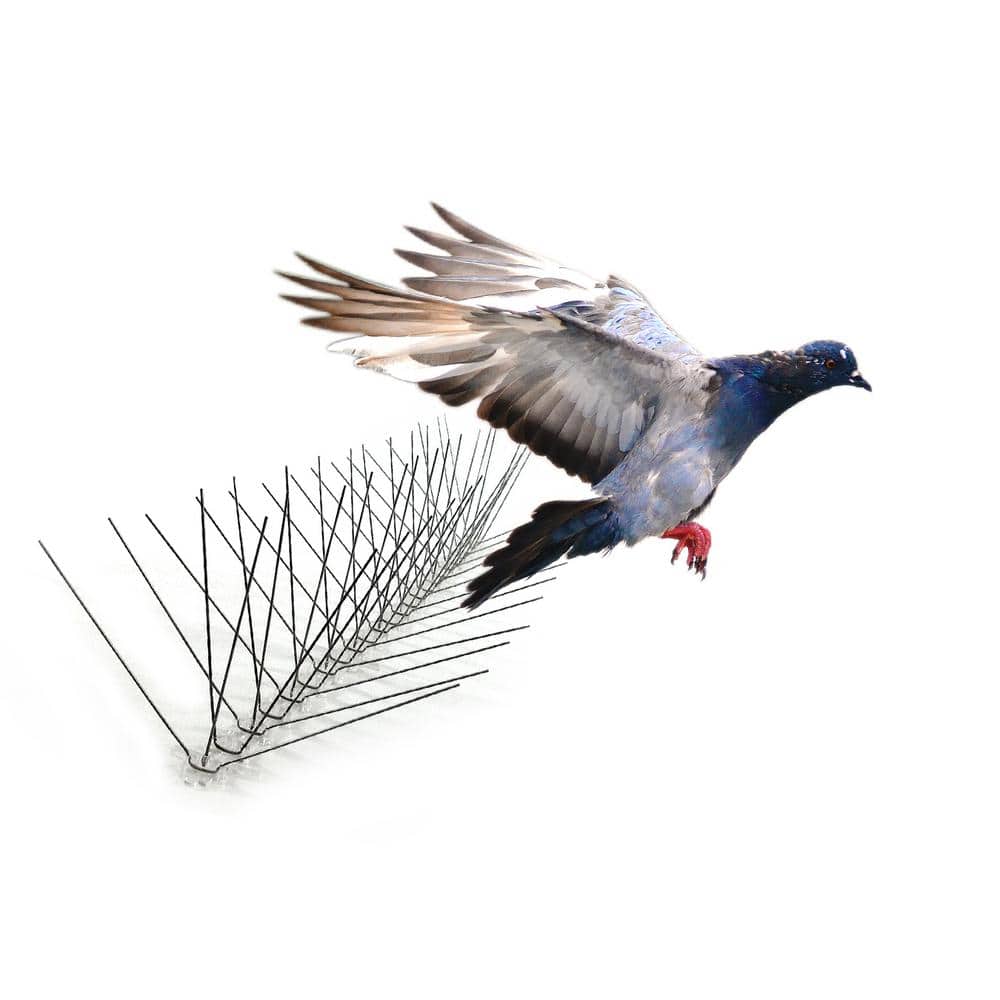 Woodpecker Birds Repellent Devices, Reflective Scare Rods Control Device,  Woodpecker Deterrent For House, Keep Birds Away From Patio Pool, Reflective  Strip Hanging Home As Decoration - Temu Netherlands