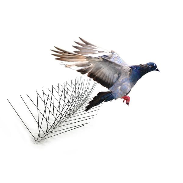 Bird-X 10 ft. Original Stainless Steel Bird Spikes Pigeons Starling Blackbirds Seagulls 6 in. Coverage