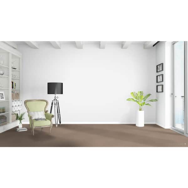 Jack Bay II - Landscape - Beige 65 oz. SD Polyester Texture Installed Carpet