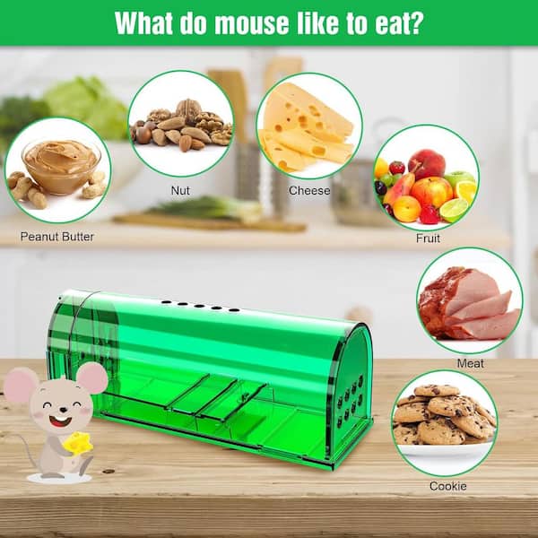 ITOPFOX Outdoor/Indoor Mouse Traps Humane Catch and Release Pet