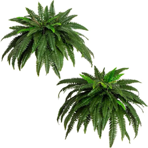 21 in. Green Outdoor Safe Artificial Boston Fern (2-Pack)