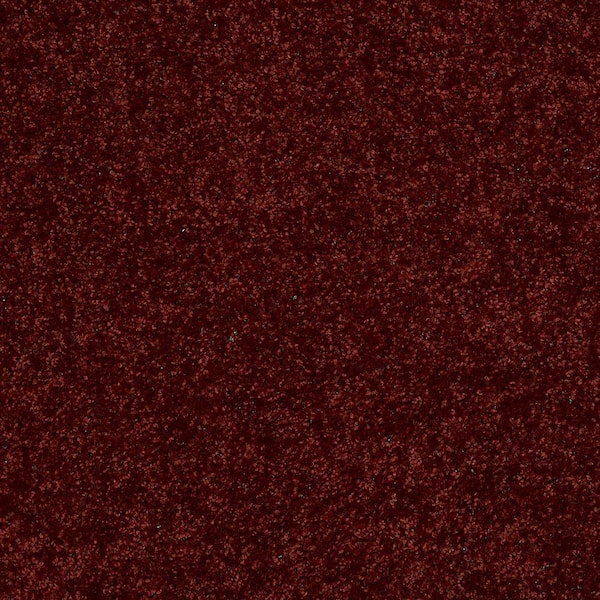 TrafficMaster 8 in. x 8 in. Texture Carpet Sample - Palmdale I - Color Raspberry Tart