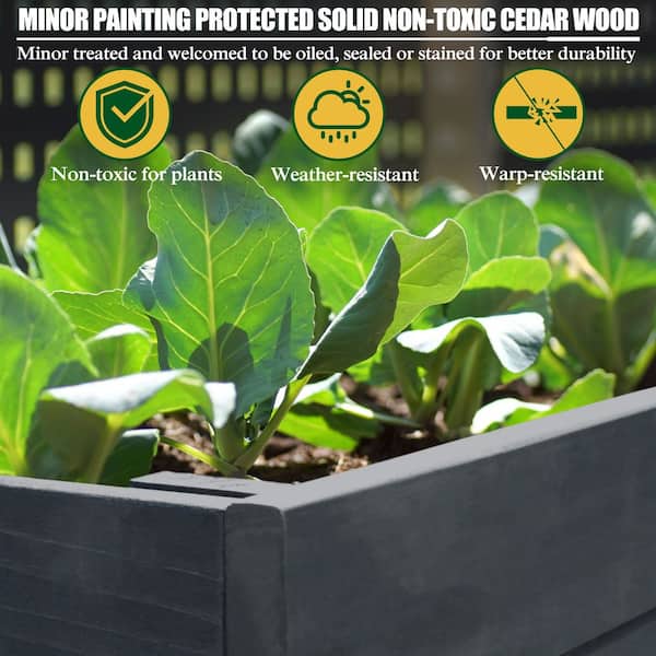 70.8 in. W x 31 in. D x 29 in. H Oversized Cedar Wooden Raised Garden Bed with Liner, Dark Gray