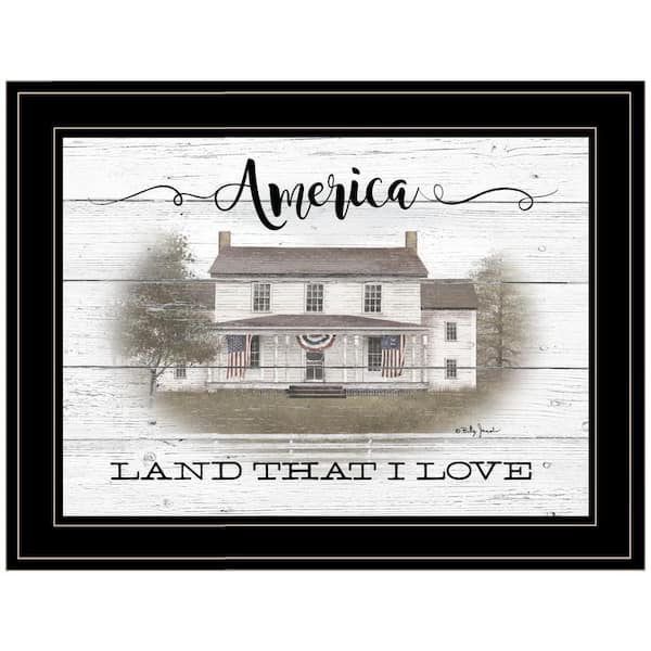 HomeRoots Charlie America 1-Piece Framed Wall Art 15 in. x 19 in.