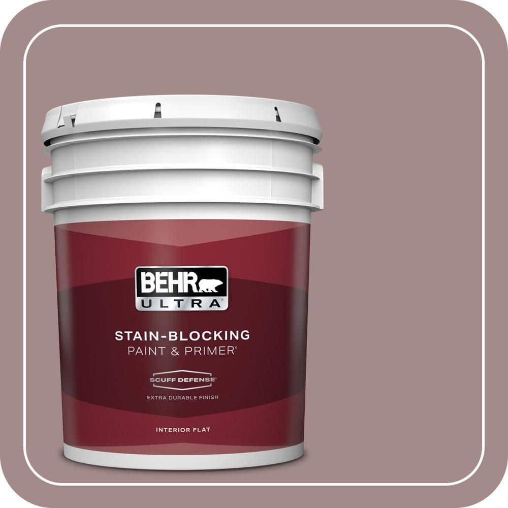 5 gal. #PPU17-15 Cameo Rose Extra Durable Flat Interior Paint & Primer price history on PriceWatchPro