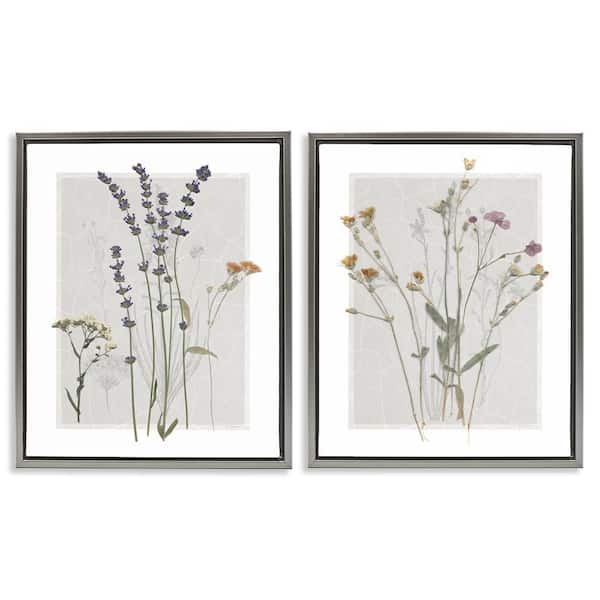Delicate Wildflower Herb Sprigs by Carol Robinson 2 Piece Gray Floater Frame Graphic Art Print Nature 25 in. x 31 in.