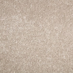 8 in. x 8 in. Texture Carpet Sample - Gemini I - Color Cannon
